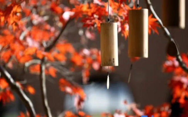 Rainbow Forest Resort & Hotel