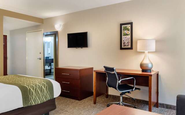 Comfort Inn Douglasville - Atlanta West