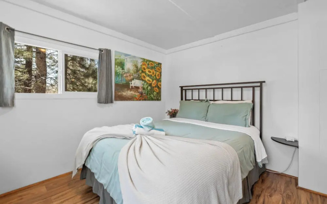 StoneHauz Cabin built in 1926