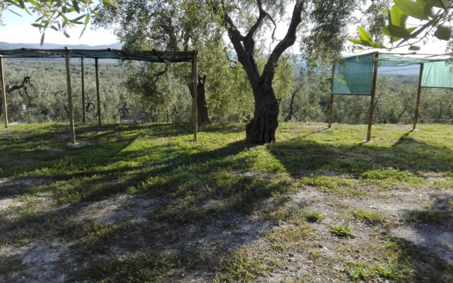 Valle Degli Ulivi