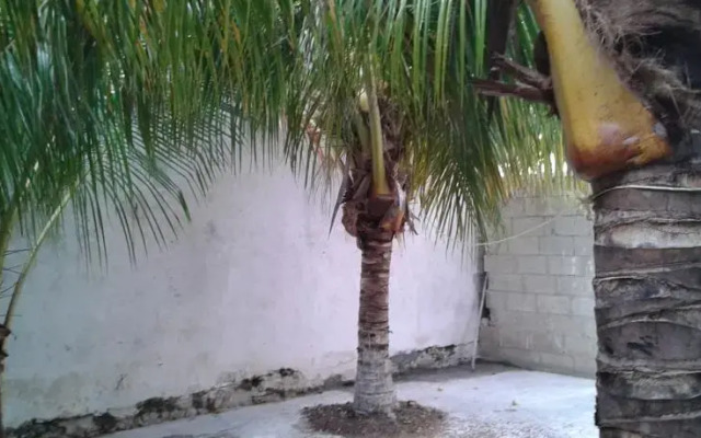 Casa Karina