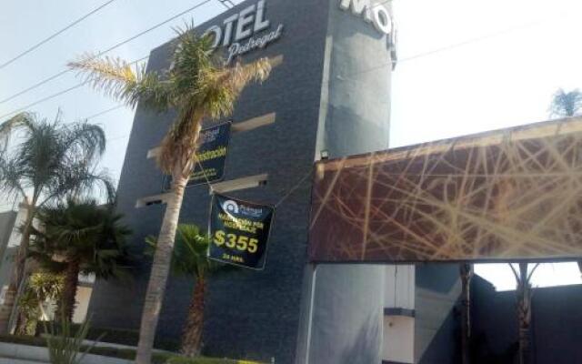 Motel Pedregal Suites