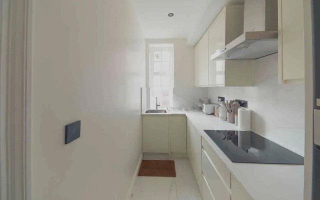 Entire Luxury Apartment in Greater London