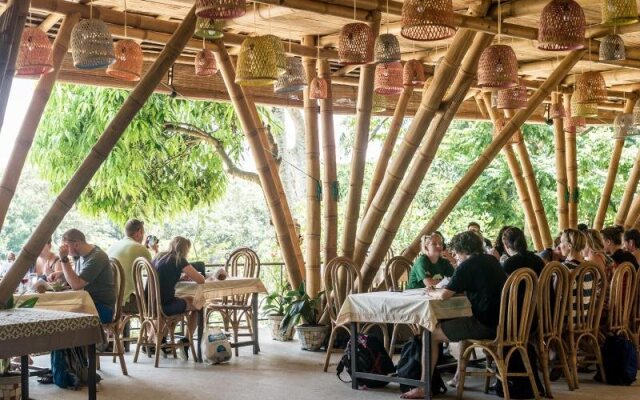 Ecolodge Bukit Lawang - Hostel