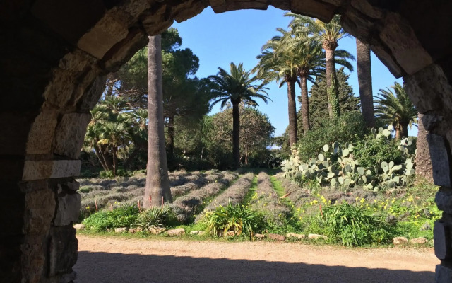 Résidence La Palme d'Azur Cannes Verrerie