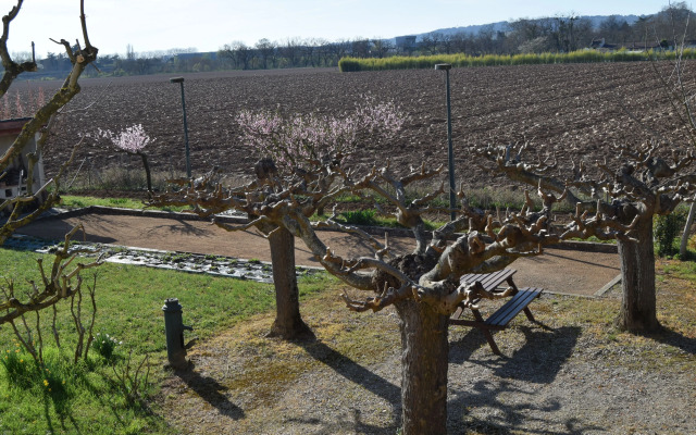 Le Nid de l'Ecureuil
