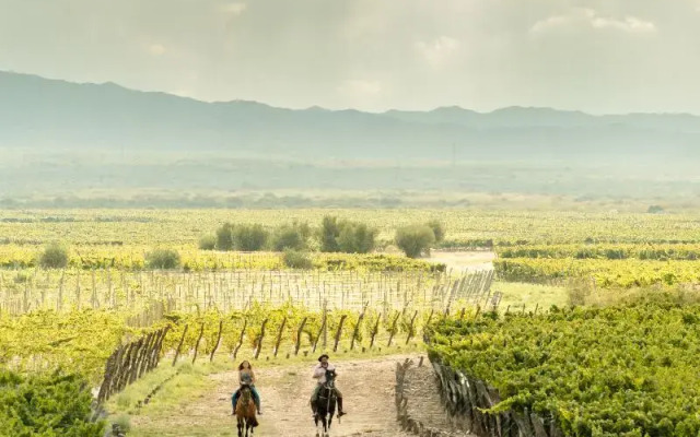 Rosell Boher Winery Lodge & Spa