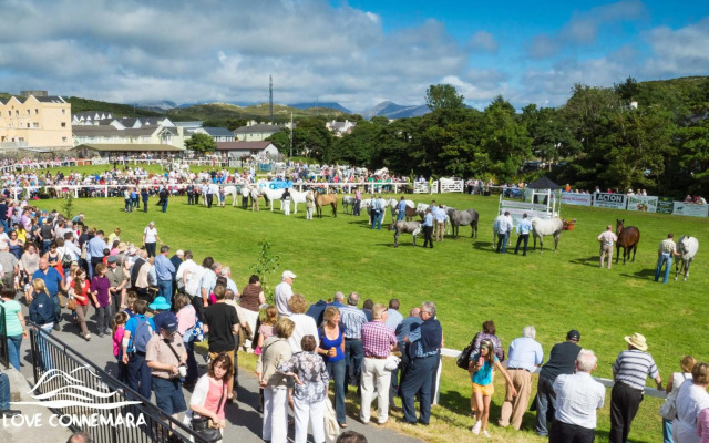 Apartment 393 - Clifden