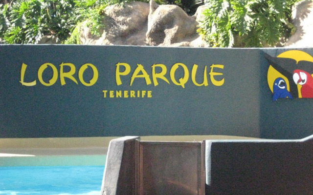 Paula Pool Apartment Adeje