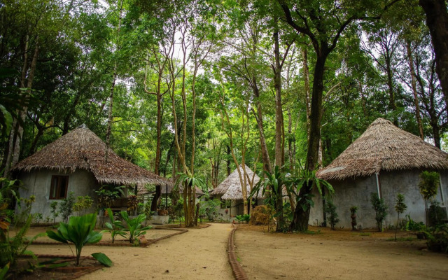 The Tropical Beach Resort