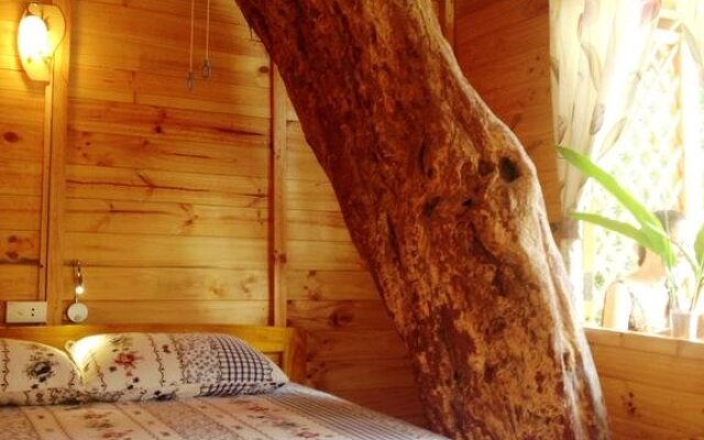 Giraffa Phu Quoc