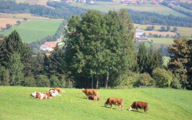 Seppl Am Berg