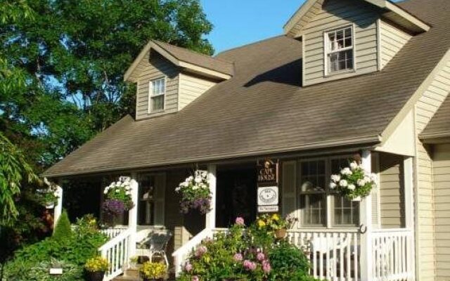 Cape House Bed and Breakfast