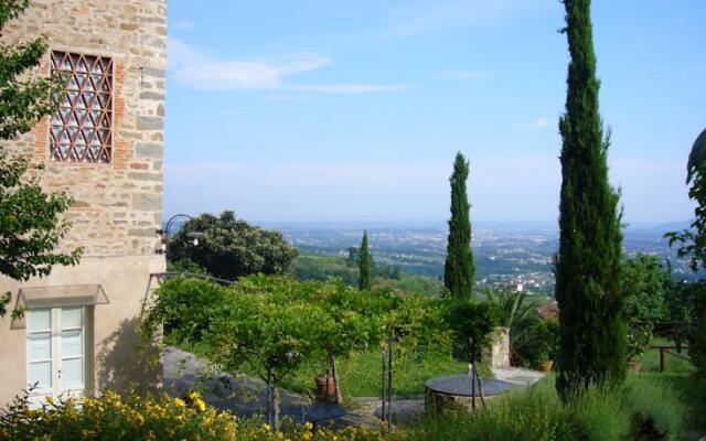 La Vistosa