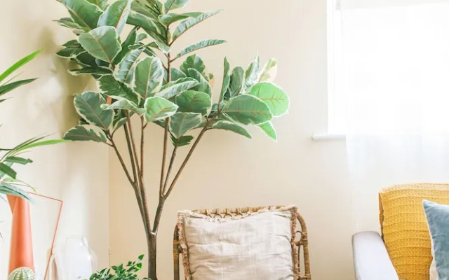 Spacious 3 Bedroom Apartment in South Kensington near Museums