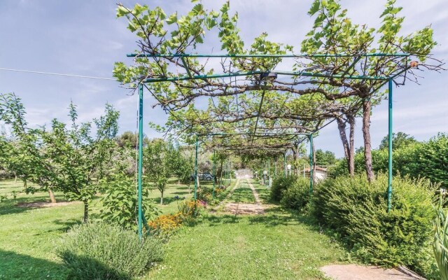 Awesome Home in Liznjan With Wifi and 2 Bedrooms