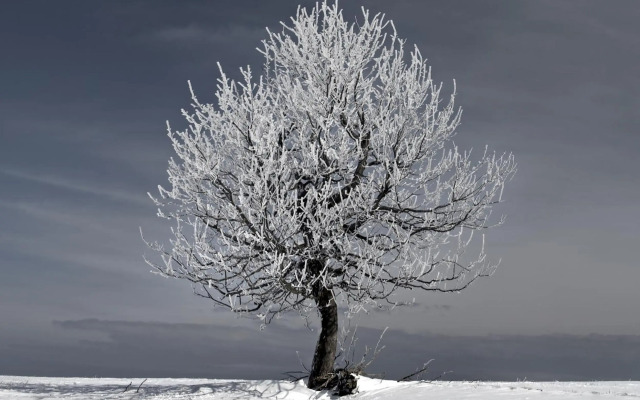 PLESSBERG Apartments Plešivec