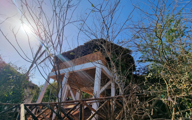 Palm Valley Cabins