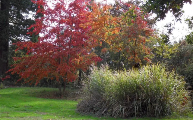 Château de la Motte