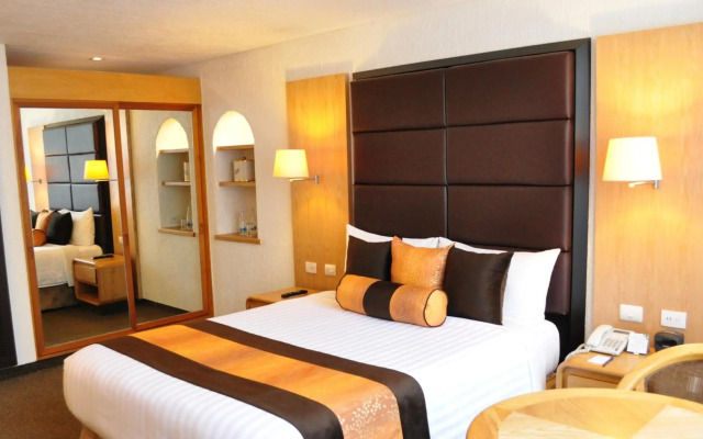 Royal Pedregal Hotel