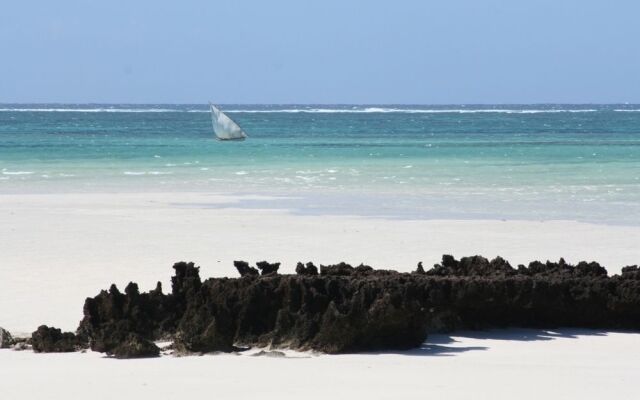 Coral Lodge 15.41
