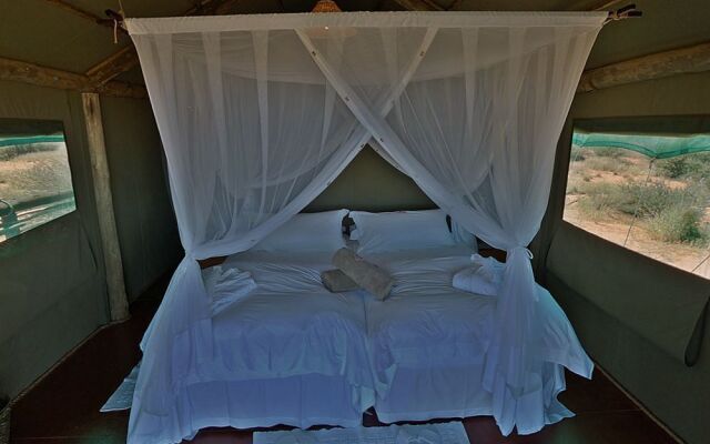 Suricate Tented Lodge