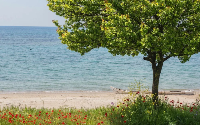 halu! Modern & Cozy Seafront Villa