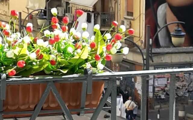 Suite Duomo B&B & Apartment