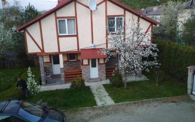 Zelena Sadyba Bila Stavka
