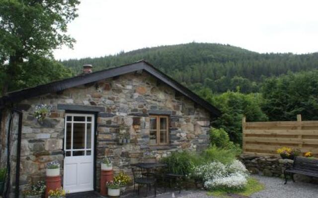 Dolweunydd Bed & Breakfast