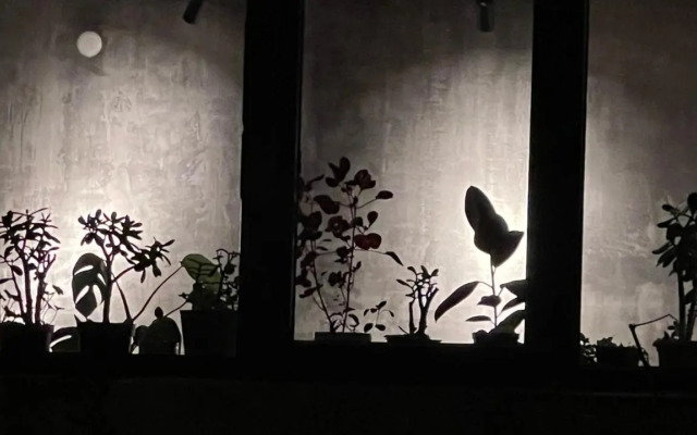 Mestia Guesthouse