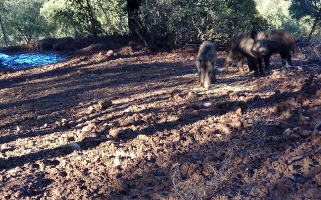 Casas Rurales La Loma Del Carrascal