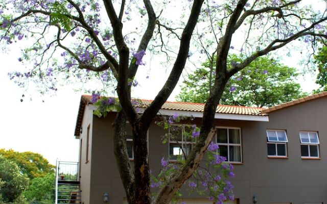 Wild Olive Executive Suite