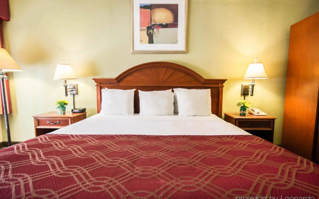 Stayable Orlando