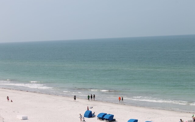 Beach Palms 505