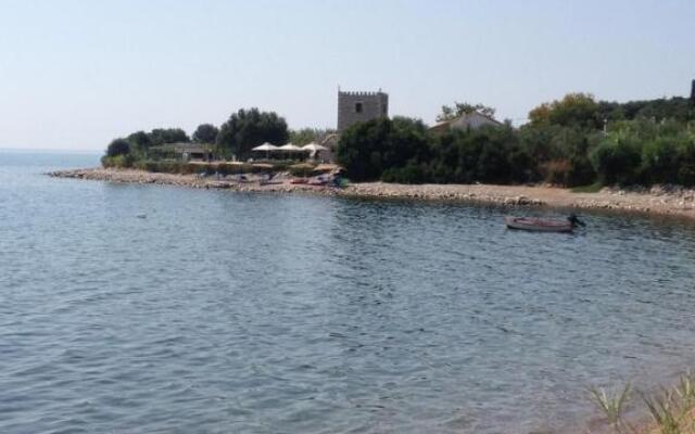 Jani's Home