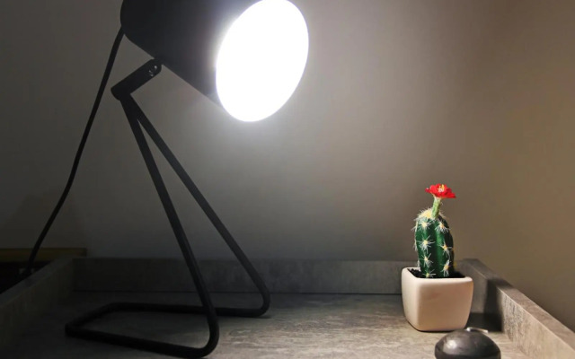 Gabry central apartment Palermo