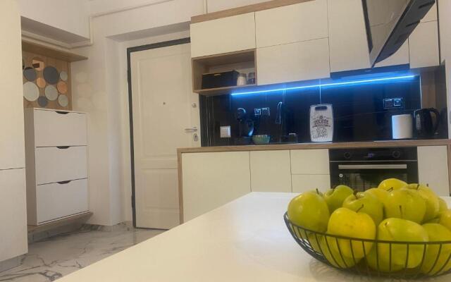 Maia Minimalist Studio
