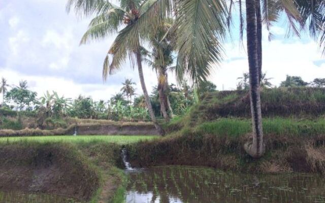 Angel House Ubud Eco Villa