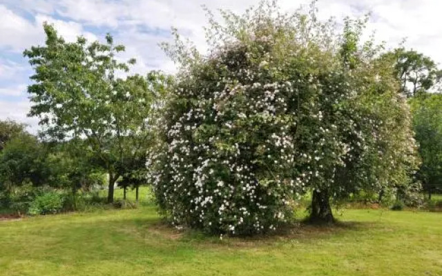 The Farm Snead Bed & Breakfast