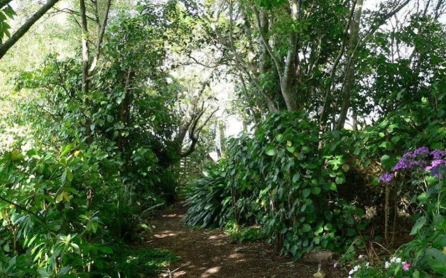 Mount Hobson Boutique Accommodation