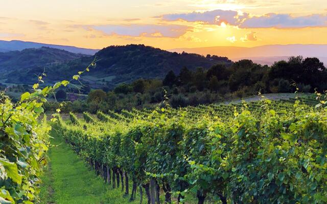 Rural Homestead Trenkovo