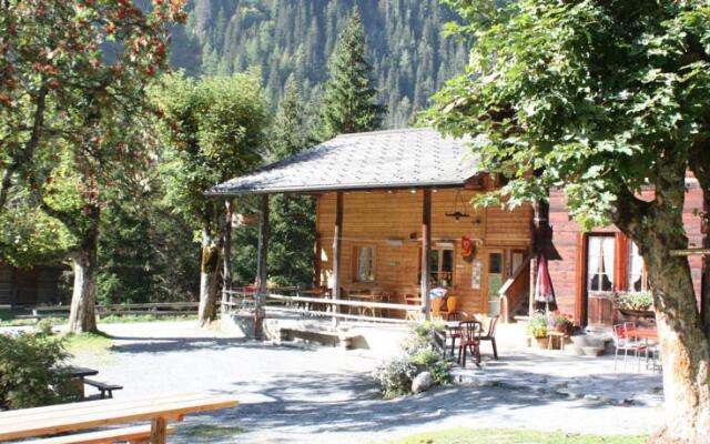 Hotel Steinbock - Gasterntal