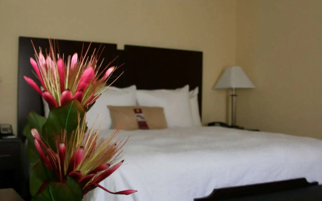 Hampton Inn & Suites Orlando-John Young Pkwy/S. Park