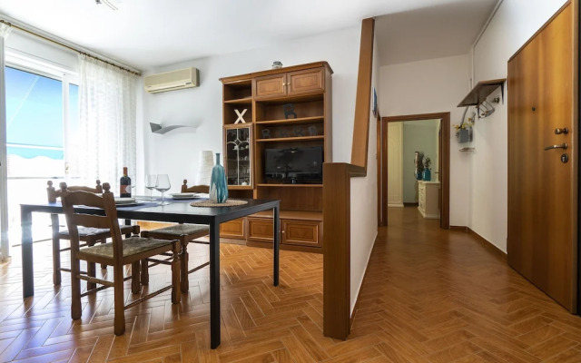 Studio Vita Zucchini 6