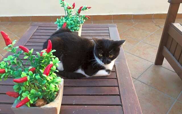 B&B Villa Sul Golfo