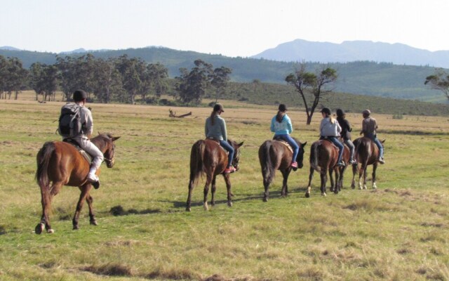 Plettenberg Bay Game Reserve
