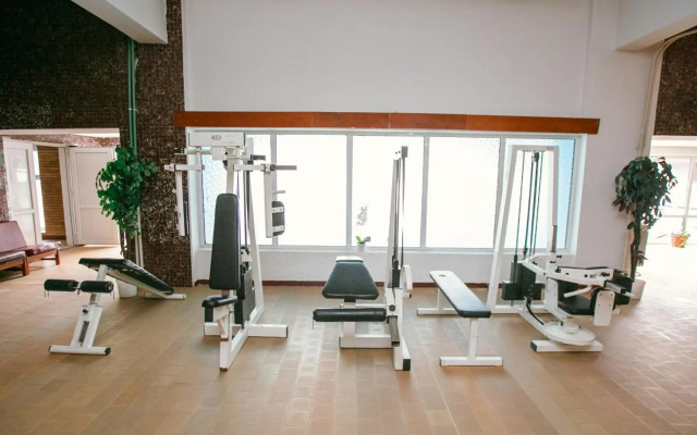 Hotel Mures