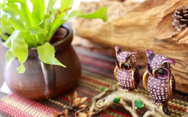 Xi Tou in Sunny Day Inn