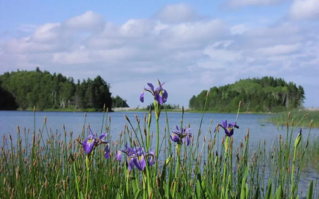 Breton Cove Farmhouse
